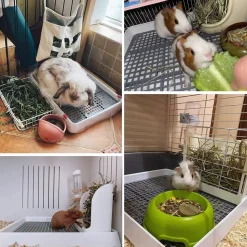 DOWNYPAWS - Toilette pour petits animaux