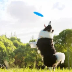 DTOPBUYAGE - 3 pack frisbees en caoutchouc naturel pour chien