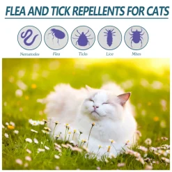 DTOPBUYAGE - Agent anti-puces et tiques pour animaux de compagnie, 50 ml - dtopbuyage