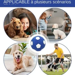 DTOPBUYAGE - Balles grincantes indestructibles pour chien mâcheur
