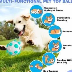 DTOPBUYAGE - Balls pour chiens - interactif, nettoyage des dents