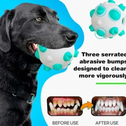 DTOPBUYAGE - Balls pour chiens - interactif, nettoyage des dents