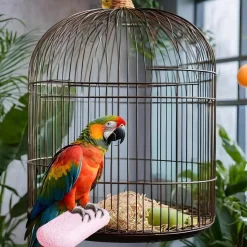 DTOPBUYAGE - Bâton meulage calcium pour perroquets