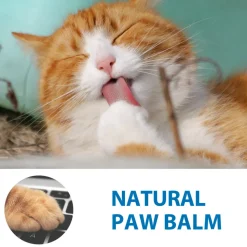 DTOPBUYAGE - Bâtonnet hydratant pour pattes de chat, 15 g - dtopbuyage