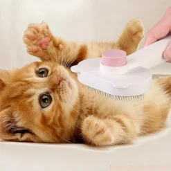 DTOPBUYAGE - Catcomb peigne brosse pour animaux de compagnie toilettage