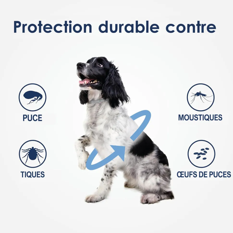 DTOPBUYAGE - Collier antiparasitaire dtopbuyage pour chien