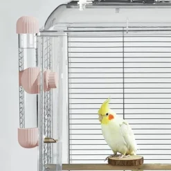 DTOPBUYAGE - Distributeur d'eau automatique rose 280 ml pour oiseaux