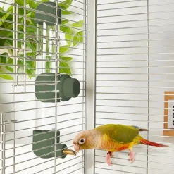 DTOPBUYAGE - Distributeur d'eau automatique vert 280 ml pour oiseaux