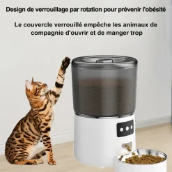 DTOPBUYAGE - Distributeur automatique de nourriture pour chats 4l