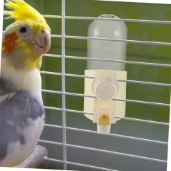 DTOPBUYAGE - Distributeur eau perroquet 200ml multi - usages
