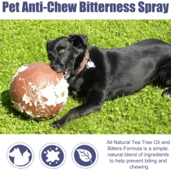 DTOPBUYAGE - Dtopbuyage - spray antidouleur à mâcher pour animaux de compagnie, 50 ml