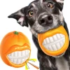 DTOPBUYAGE - Dtopbuyage balle orange amusante pour chiens