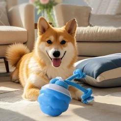 DTOPBUYAGE - Dtopbuyage boule interactive pour chien