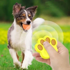 DTOPBUYAGE - Dtopbuyage boule interactive pour chats et chiens