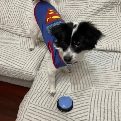 DTOPBUYAGE - Dtopbuyage boutons de communication pour chiens