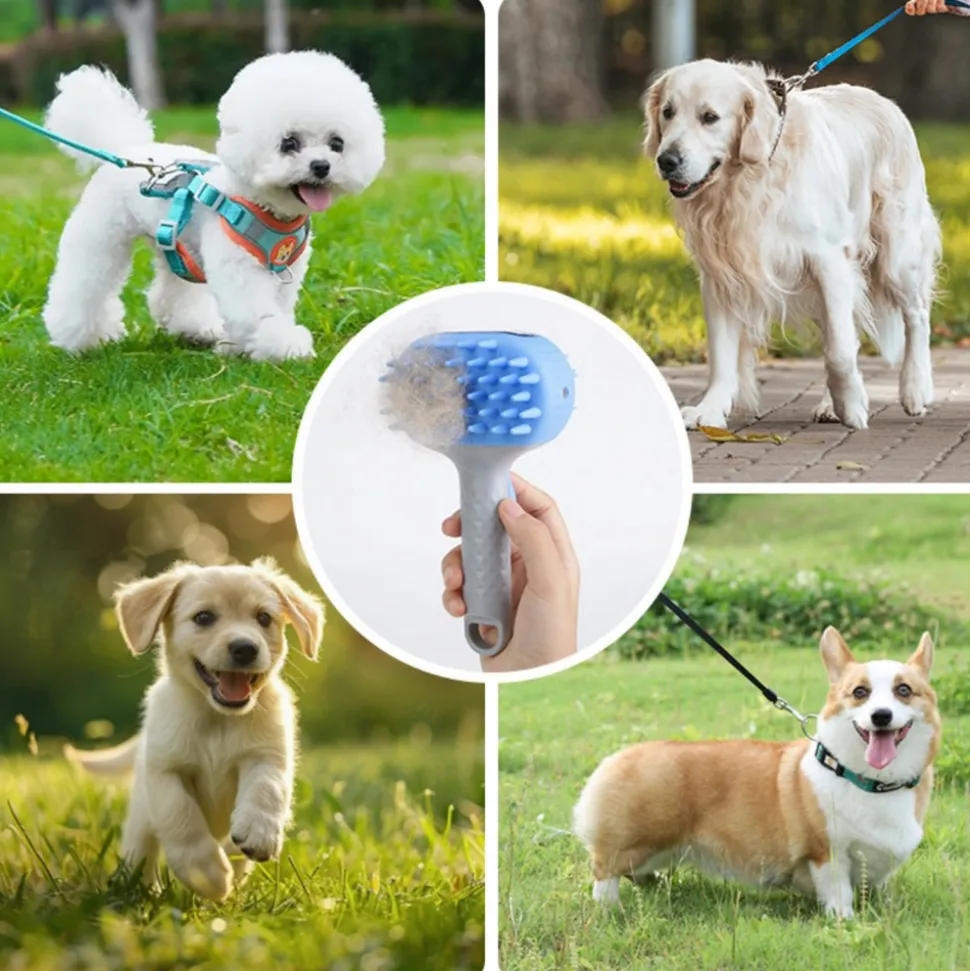 DTOPBUYAGE - Dtopbuyage brosse de bain massante (bleu)