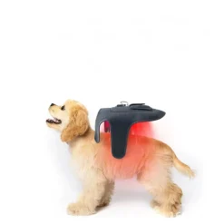 DTOPBUYAGE - Dtopbuyage ceinturon de physiothérapie à infrarouge pour chats et chiens