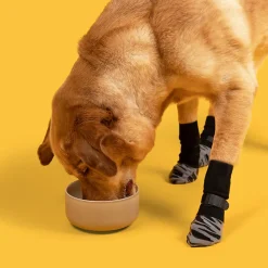 DTOPBUYAGE - Dtopbuyage chaussettes anti - dérapantes pour chiens et chats