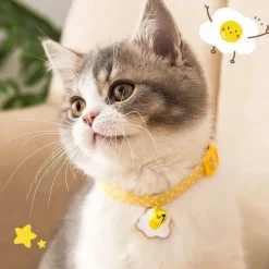 DTOPBUYAGE - Dtopbuyage collier réglable avec clochette pour chaton