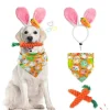 DTOPBUYAGE - Dtopbuyage costume et accessoire festif pour chien et chat