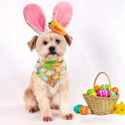 DTOPBUYAGE - Dtopbuyage costume et accessoire festif pour chien et chat