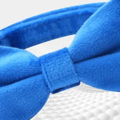 DTOPBUYAGE - Dtopbuyage collier nœud papillon pour chat