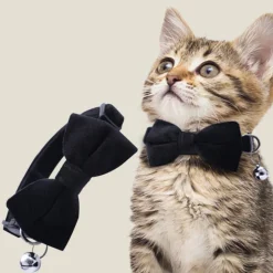 DTOPBUYAGE - Dtopbuyage collier nœud papillon pour chat