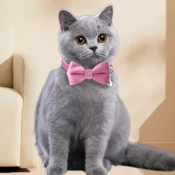 DTOPBUYAGE - Dtopbuyage collier nœud papillon pour chat