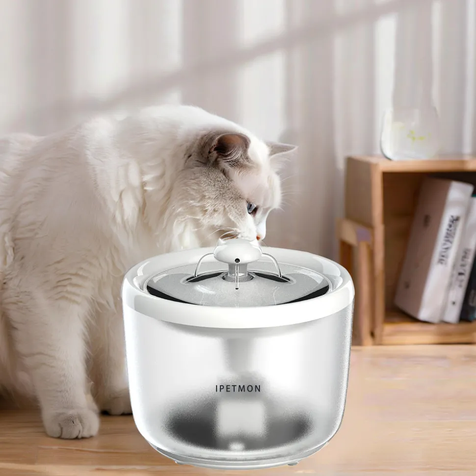 DTOPBUYAGE - Dtopbuyage dispensateur automatique d'eau pour animaux de compagnie