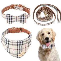 DTOPBUYAGE - Dtopbuyage ensemble de décoration pour animaux de compagnie