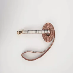 DTOPBUYAGE - Dtopbuyage ensemble de décoration pour animaux de compagnie