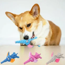 DTOPBUYAGE - Dtopbuyage jouet pour chien - en peluche, interactif