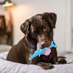 DTOPBUYAGE - Dtopbuyage jouet pour chien - en peluche, interactif