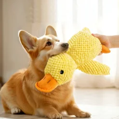 DTOPBUYAGE - Dtopbuyage jouet en peluche de canard pour chiens