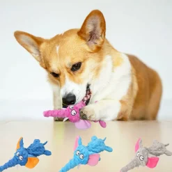 DTOPBUYAGE - Dtopbuyage jouet pour chien - en peluche, interactif