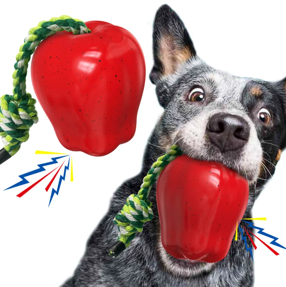 DTOPBUYAGE - Dtopbuyage jouets pour chien - indestructibles, en caoutchouc dur