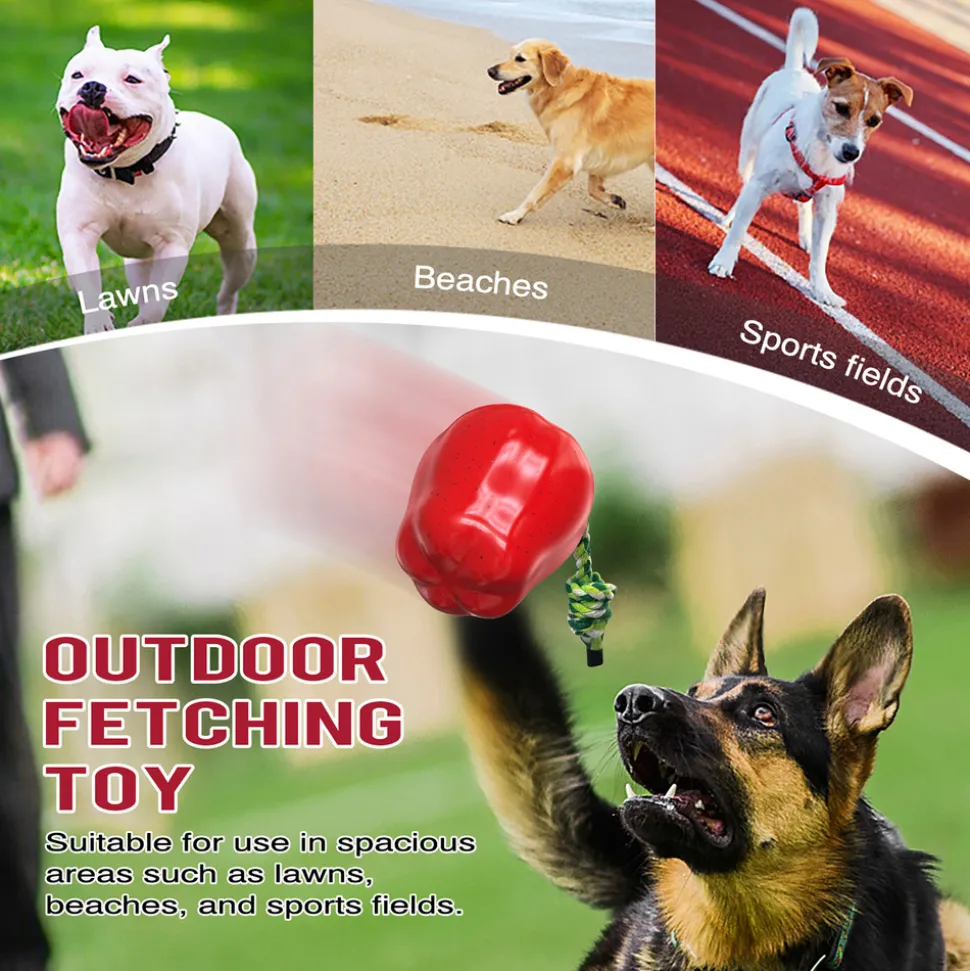 DTOPBUYAGE - Dtopbuyage jouets pour chien - indestructibles, en caoutchouc dur