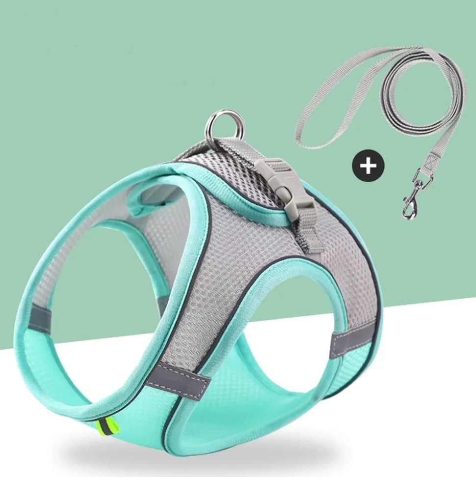 DTOPBUYAGE - Dtopbuyage laisse pour chaton type de sangle