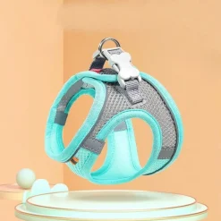 DTOPBUYAGE - Dtopbuyage laisse pour chaton type de sangle