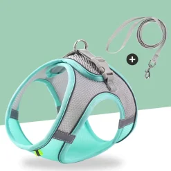 DTOPBUYAGE - Dtopbuyage laisse pour chaton type de sangle