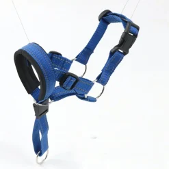 DTOPBUYAGE - Dtopbuyage licol anti-traction pour chien de taille moyenne