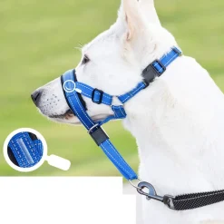 DTOPBUYAGE - Dtopbuyage licol anti-traction pour chien de taille moyenne