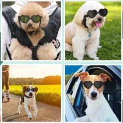 DTOPBUYAGE - Dtopbuyage lunettes pour chiens et chats