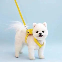 DTOPBUYAGE - Dtopbuyage sac à dos et laisse pour chien