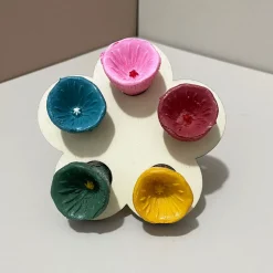 DTOPBUYAGE - Dtopbuyage tasse d'alimentation en résine pour abeilles et insectes