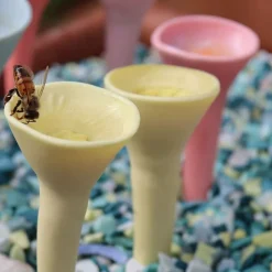 DTOPBUYAGE - Dtopbuyage tasse d'alimentation en résine pour abeilles et insectes