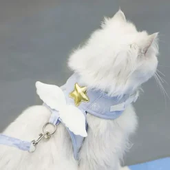 DTOPBUYAGE - Dtopbuyage traction à ailes d'ange pour chats et chiens