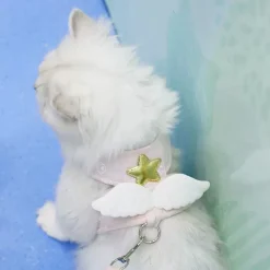 DTOPBUYAGE - Dtopbuyage traction à ailes d'ange pour chats et chiens