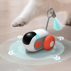 DTOPBUYAGE - Dtopbuyage voiture électrique jouet pour chat
