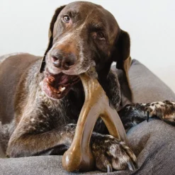 DTOPBUYAGE - Dtopbuyage wishbone pour chiens